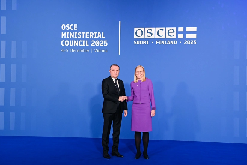 Джейхун Байрамов принимает участие в СМИД ОБСЕ в Вене