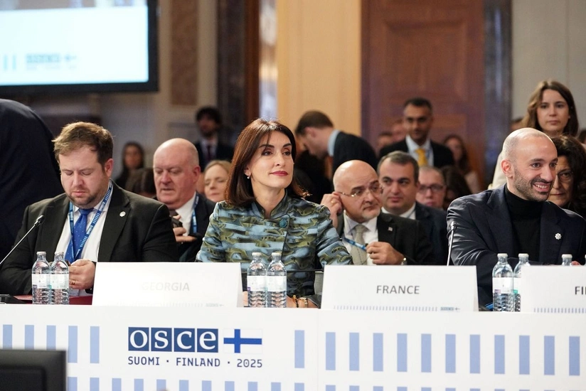 Бочоришвили: Мирный процесс Баку и Еревана создает основу для стабильности в Южном Кавказе