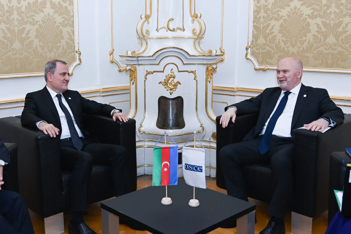 Azerbaijan FM discusses Baku-Yerevan peace process with OSCE sec-gen