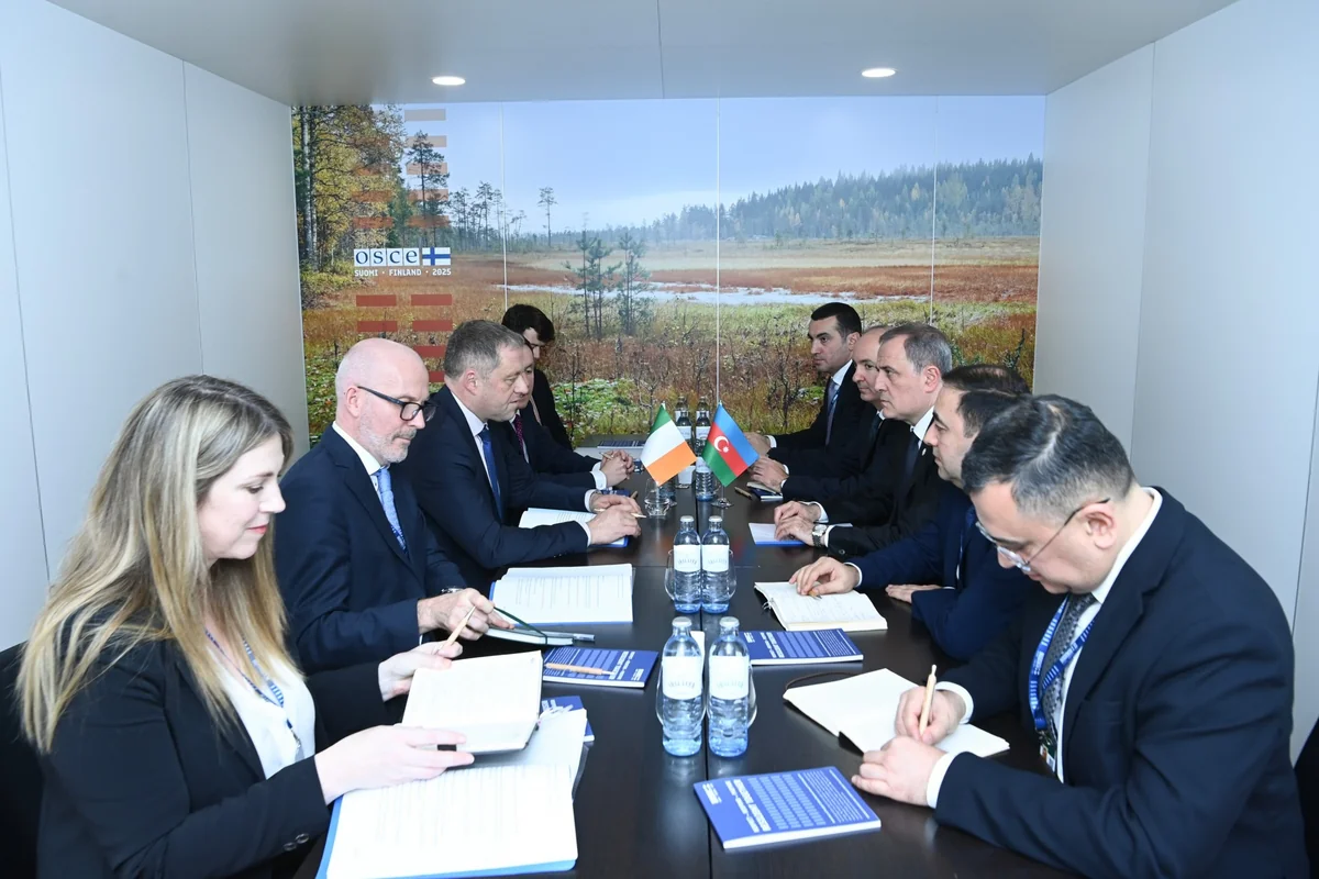 Ceyhun Bayramov discusses Azerbaijan's peace agenda with Irish minister