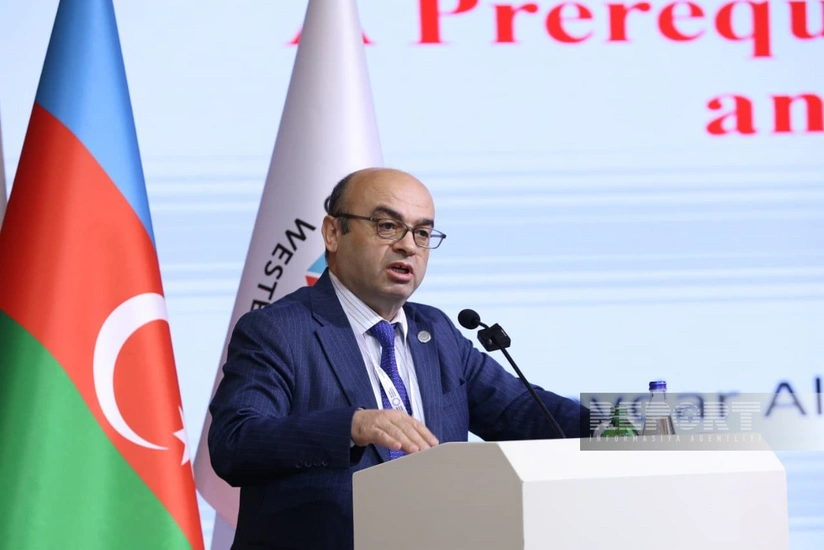 Yaşar Sarı: Qərbi Azərbaycanda dağıdılan abidələrin bərpası ilə bağlı Monitorinq Mərkəzi yaradılmalıdır