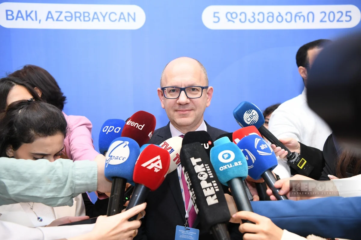 Giya Abaşidze: Gürcüstan və Azərbaycan hibrid hücumlara qarşı mübarizədə əməkdaşlıq etməlidir