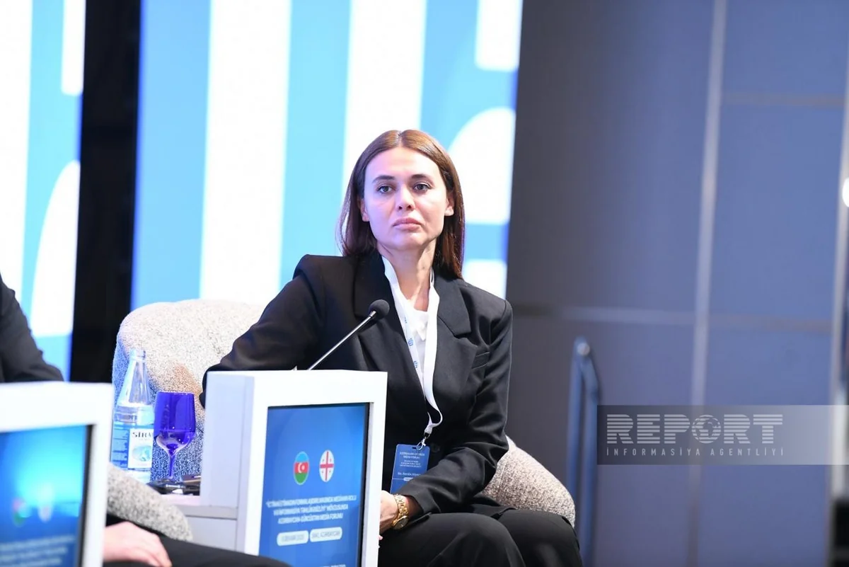Рамилия Алиева: Лицензирование ИИ станет глобальным вопросом для медиа