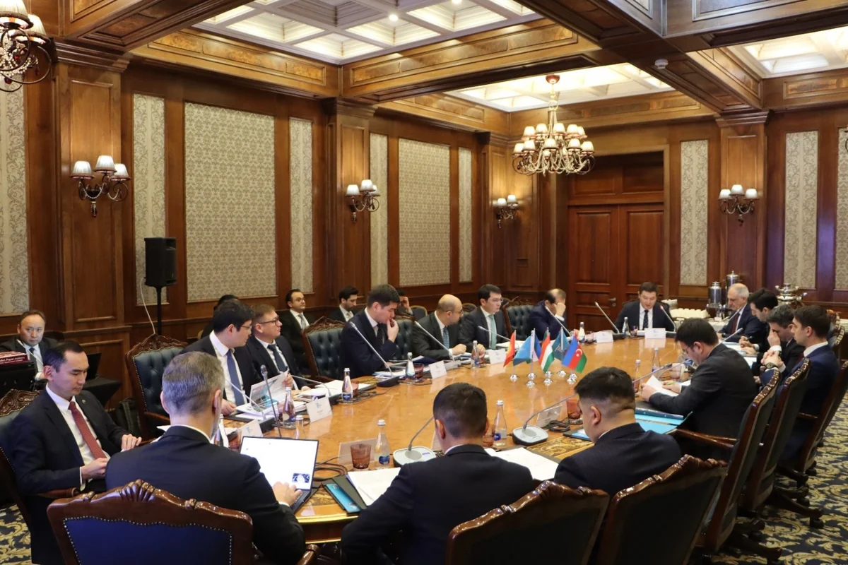 TIF начнет инвестиционную деятельность в I квартале 2026 года