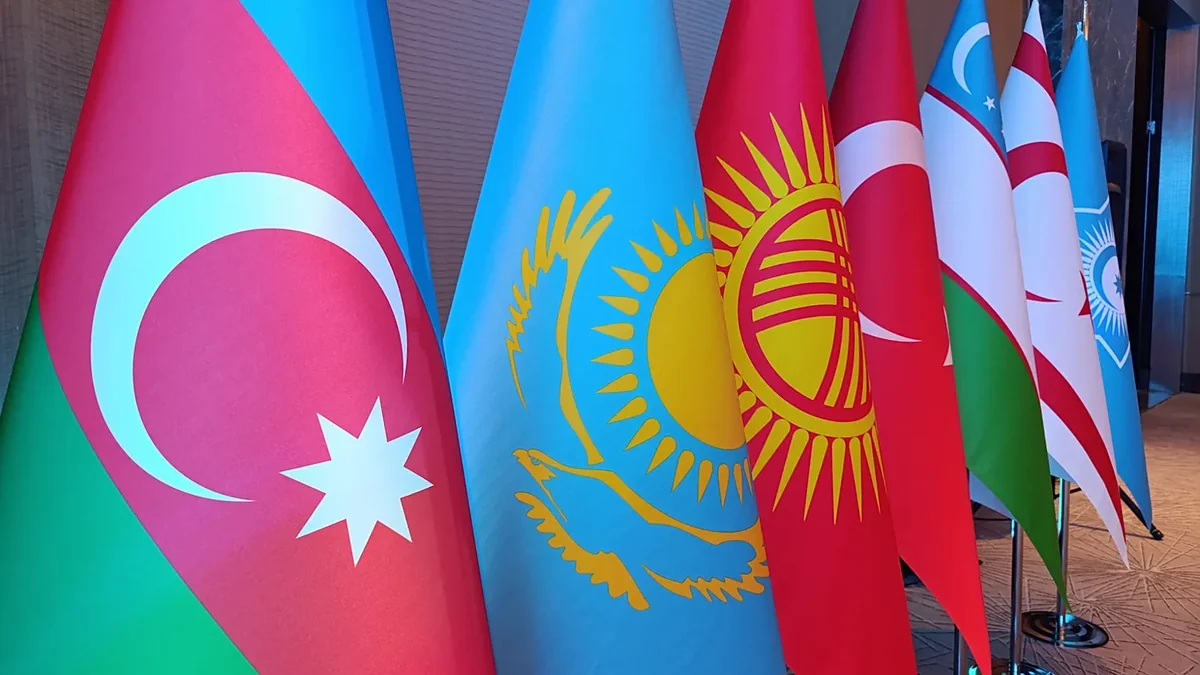 Euronews: Turkic-speaking countries explore coordinated approach to fake news