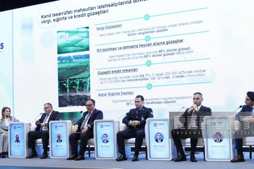 Azərbaycanda damazlıq heyvanların idxal rüsumu üzrə azad olunmaları 125 % artıb