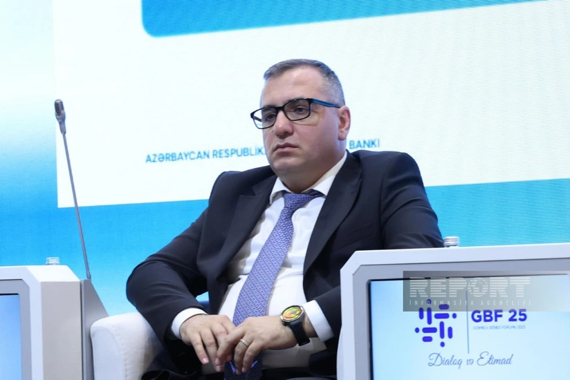 Azərbaycanda yaradılan aqroparklara 2,4 milyard manata yaxın investisiya yatırılıb