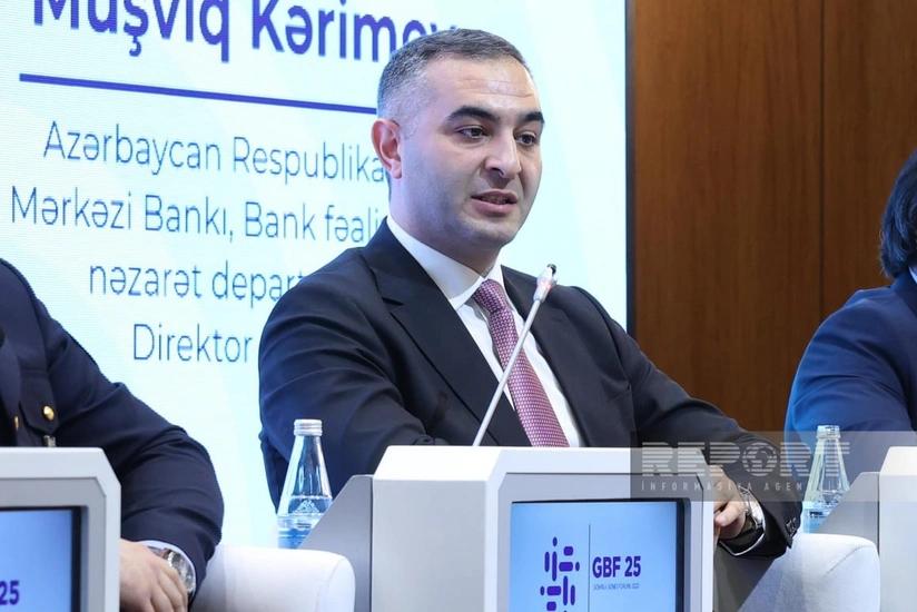 В Азербайджане разработан Национальный механизм кредитных рейтингов