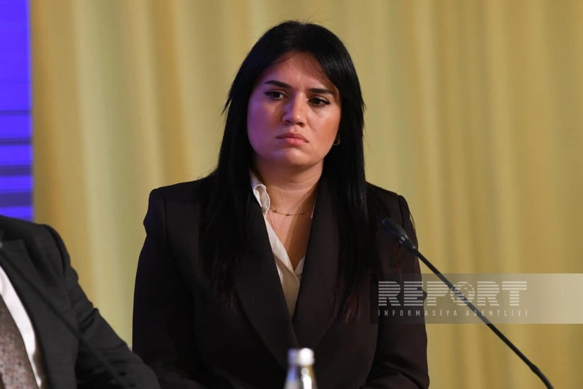 Nazirlik rəsmisi: Mədəniyyətlə bağlı bəzi qanunlar müasir çağırışlarla uzlaşmır