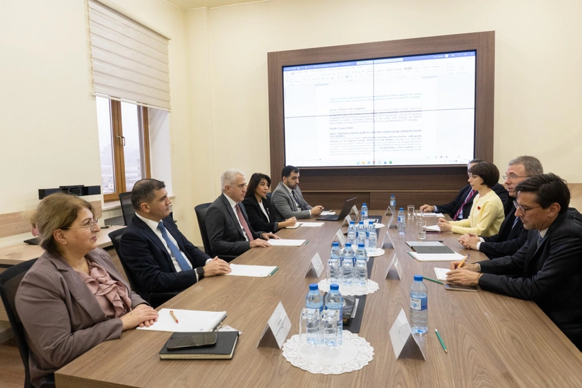 Azerbaijan discusses renewable energy and electricity tariffs with World Bank