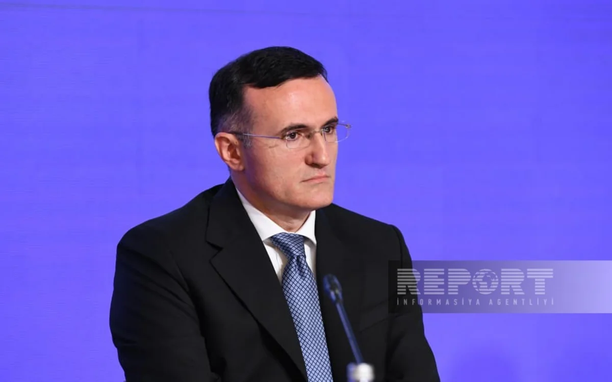 Nazir müavini: Rəqəmsallaşmada ayrıca hüquqi mexanizm və metodlar olmalıdır