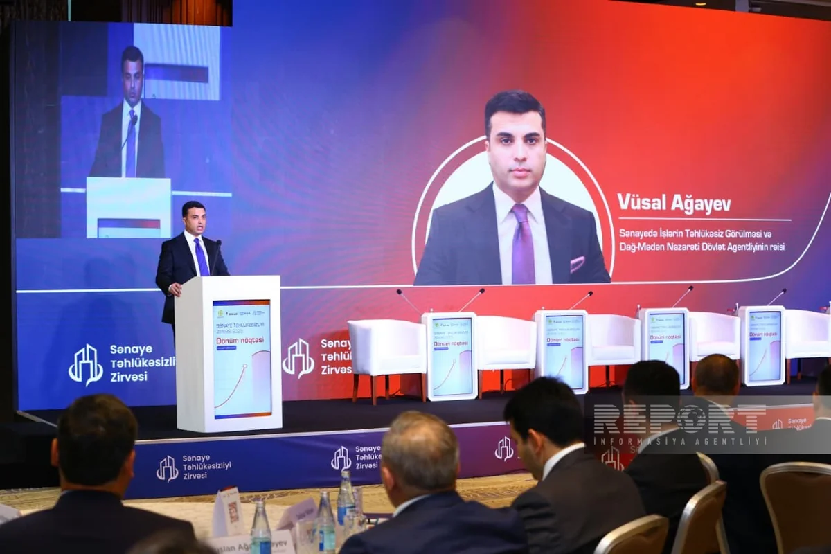 Dövlət Agentliyinin rəisi: Sənaye risklərinin strukturu yenidən formalaşır