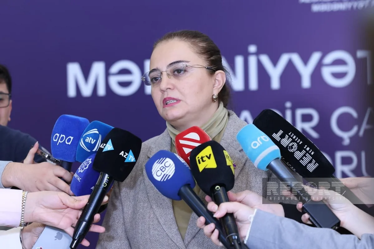 Azerbaijan drafting laws to protect and promote culture globally
