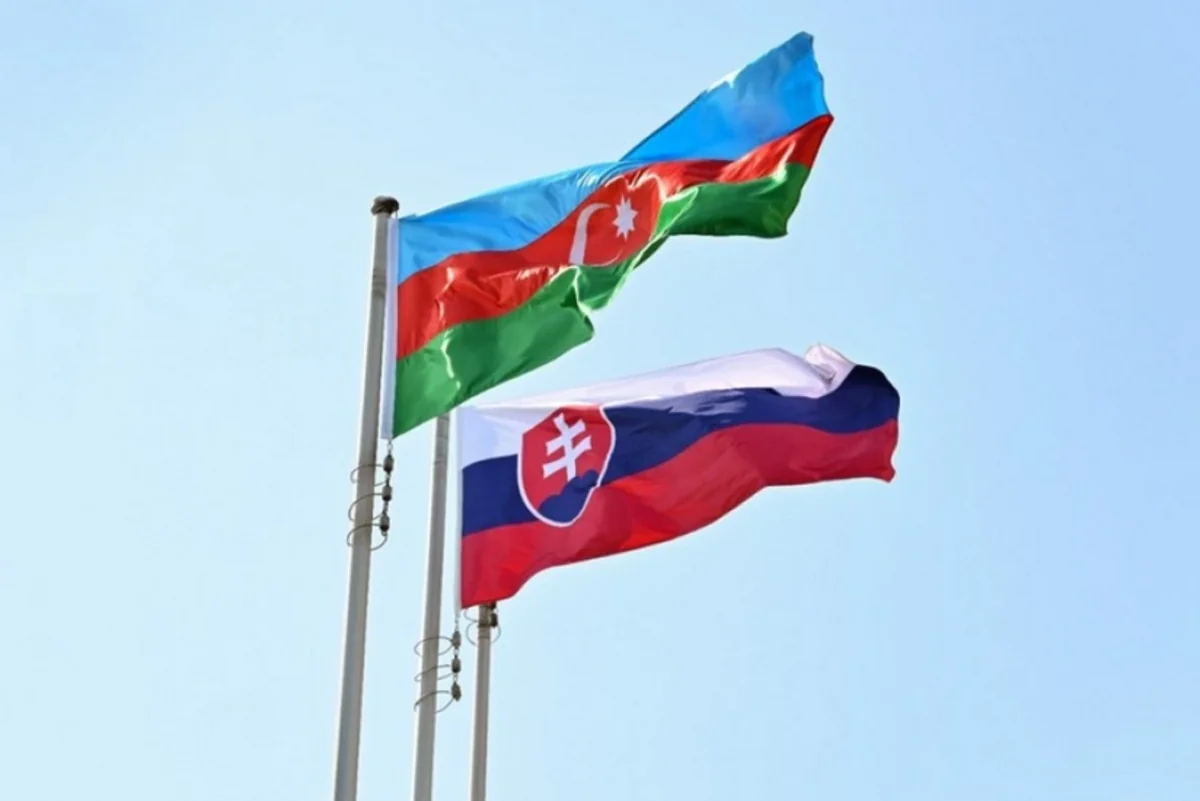Azərbaycan və Slovakiyanın müdafiə sənayesi üzrə əməkdaşlığı hədəflərə töhfə verəcək - RƏY