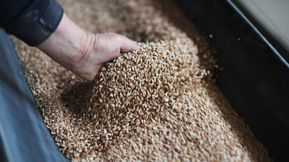 Armenia expects new shipment of grain through transit via Azerbaijan soon
