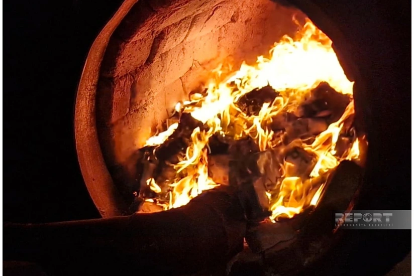 Naxçıvanda külli miqdarda narkotik vasitə məhv edilib