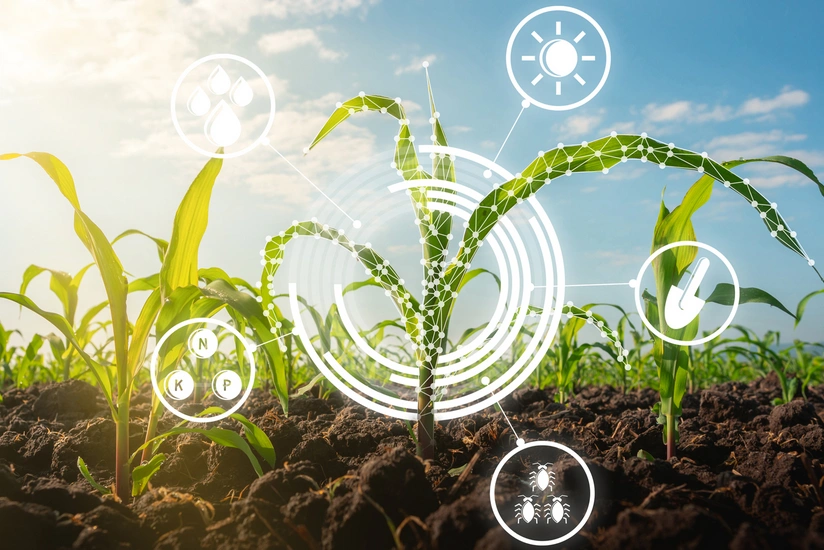 Orxan Məmmədov: Aqrar sahibkarlar innovasiyalara açıq güclü iqtisadi subyektə çevrilib