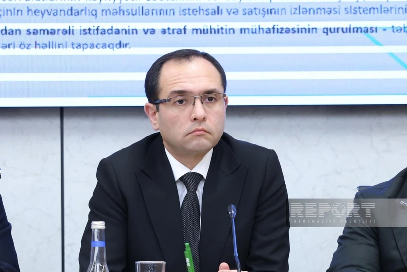 Nazir: Heyvanların baş sayının azalması məhsuldarlığın artırılmasını zəruri edir