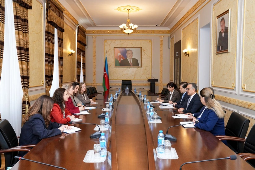 Dövlət Komitəsinin sədri ABŞ-nin Azərbaycandakı Müvəqqəti işlər vəkili ilə görüşüb