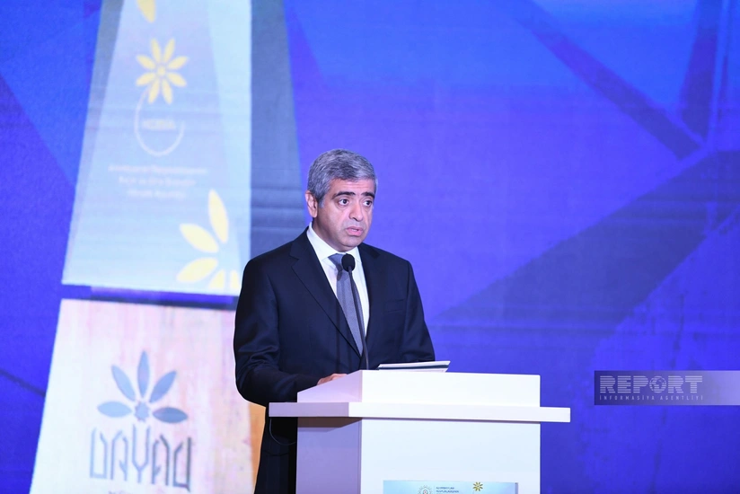 Анар Алиев: 92% трудовых договоров за семь лет пришлись на частный сектор