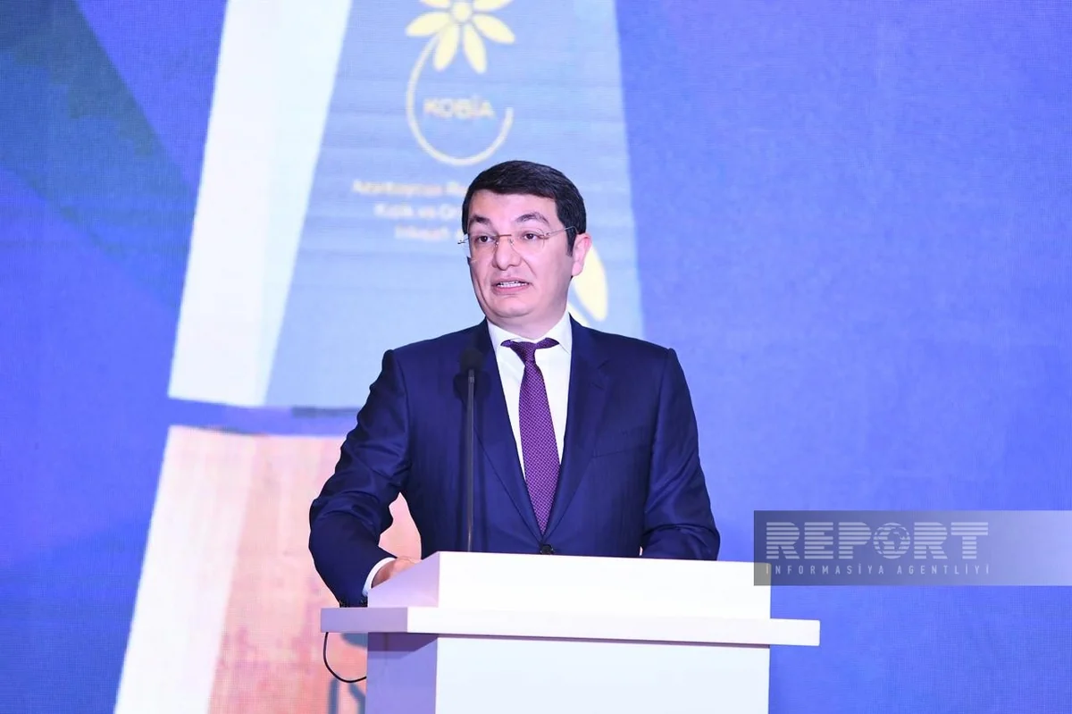 Elnur Aliyev: Exports from Azerbaijan's industrial zones up by 17%