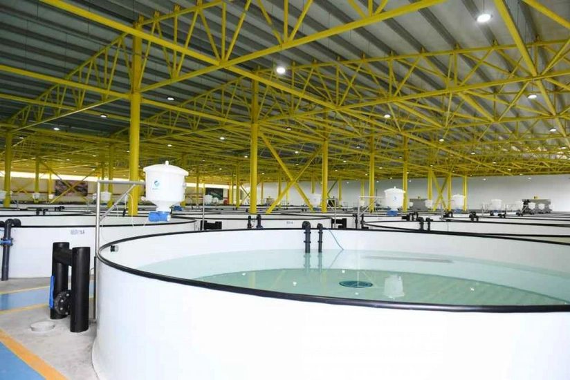 Balıqçılıq və Akvakultura Mərkəzinin beynəlxalq və yerli fəaliyyəti məlum olub