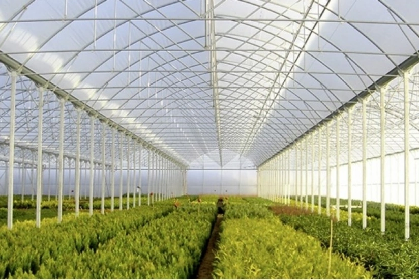 MM kənd təsərrüfatı fəaliyyəti ilə məşğul olan obyektlərin tikintisi üçün icazə tələbini qəbul edib