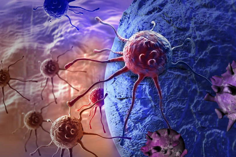 В США обвинили исследователя из КНР в контрабанде кишечной палочки