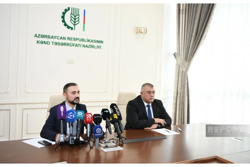 Azərbaycanda balıqçılığa xüsusi dövlət dəstəyi olacaq