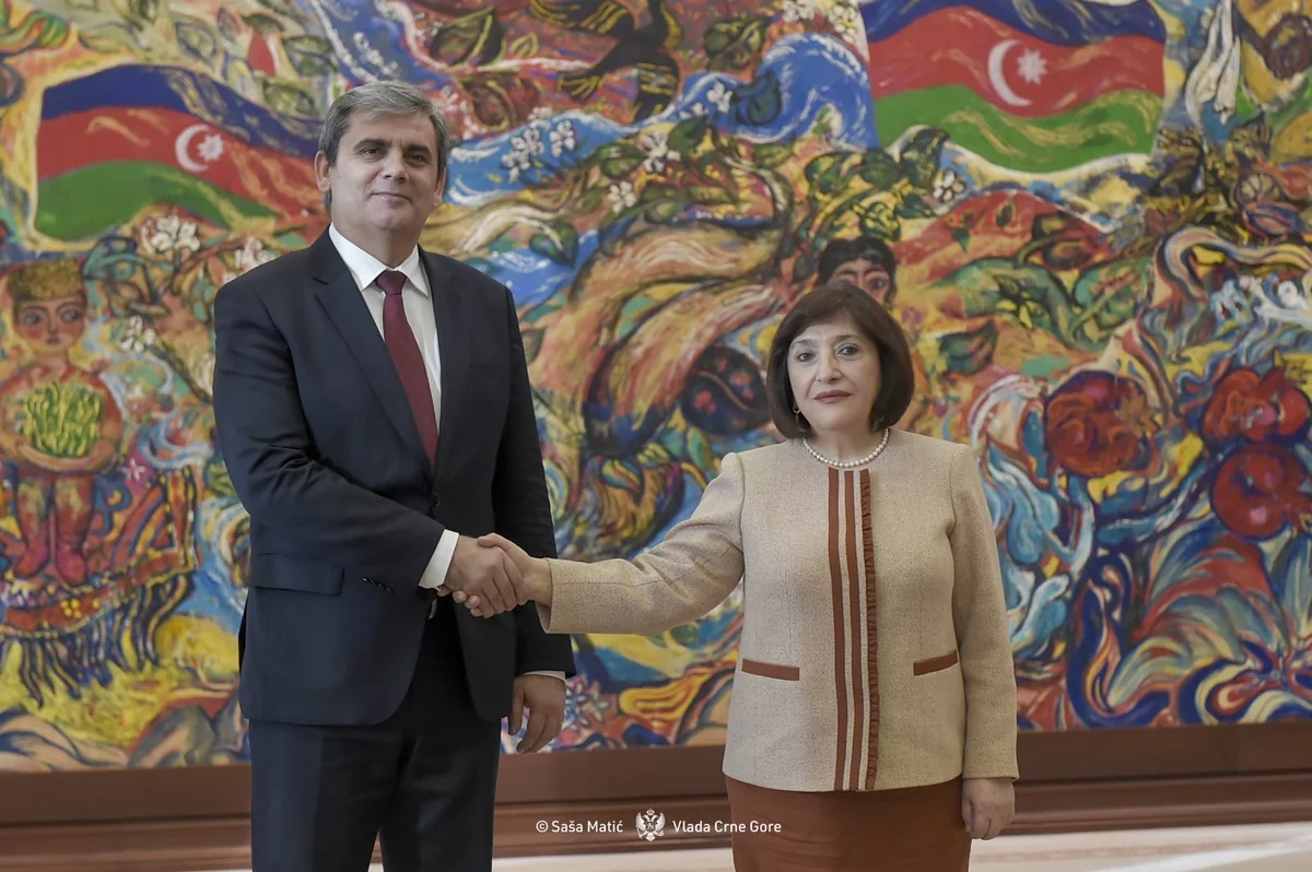 Gafarova, Ibrahimović discuss interparliamentary cooperation between Baku and Podgorica