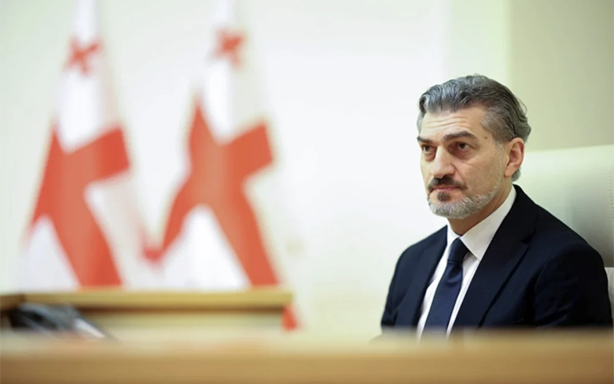 Кавелашвили призвал дипломатов развивать торговлю и транзитные связи Грузии