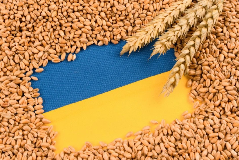 Молдова снимет ограничения на импорт зерна из Украины