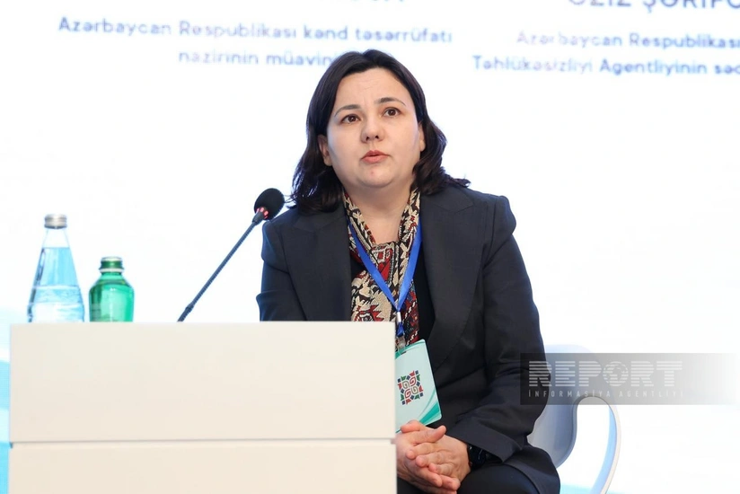 Азербайджан и Турция формируют экспортно-ориентированную модель аграрного сотрудничества