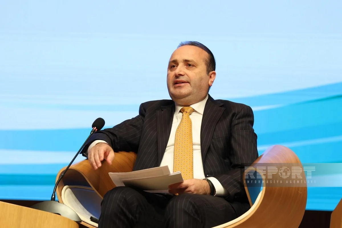 Türkiyə rəsmisi: Zəngəzur dəhlizi Asiya və Avropa arasında kritik əhəmiyyətə malikdir