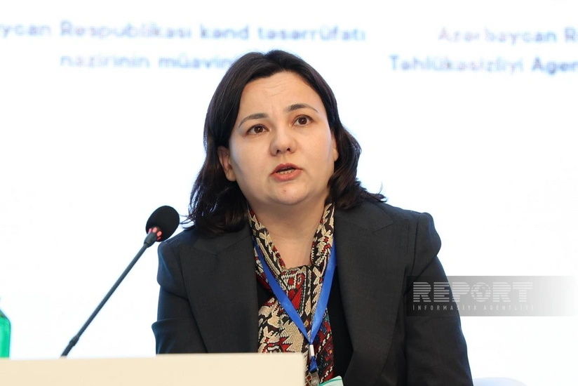 Azərbaycan və Türkiyə aqrar sahədə regional riskləri birgə idarə edəcək