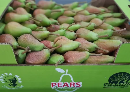Azərbaycanın aqrar potensialı dünya bazarlarında