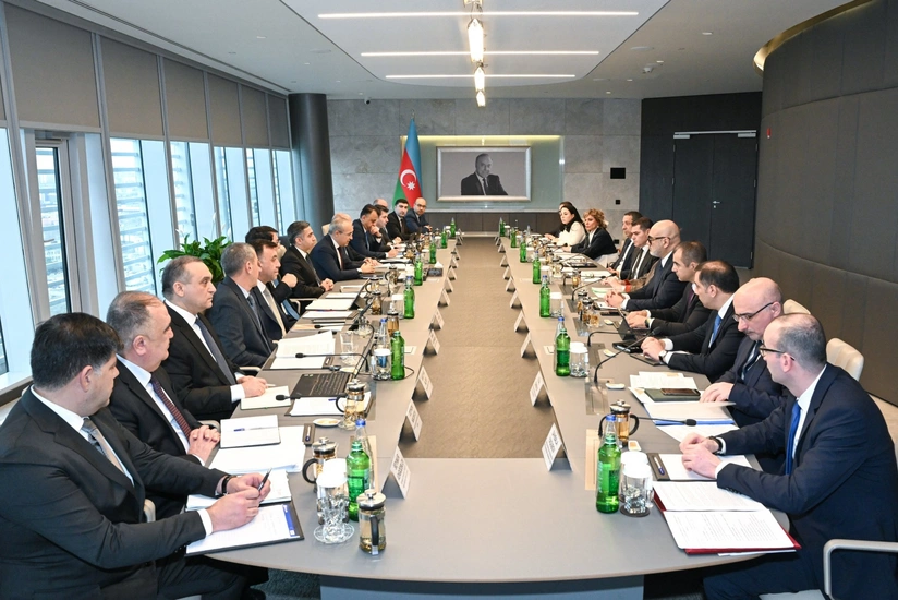 Микаил Джаббаров заявил о значении фармацевтической отрасли для ненефтяной экономики