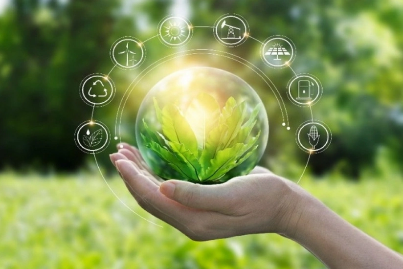 Azərbaycanda yaşıl inkişafa dair statistik göstəricilər sistemi təkmilləşdiriləcək