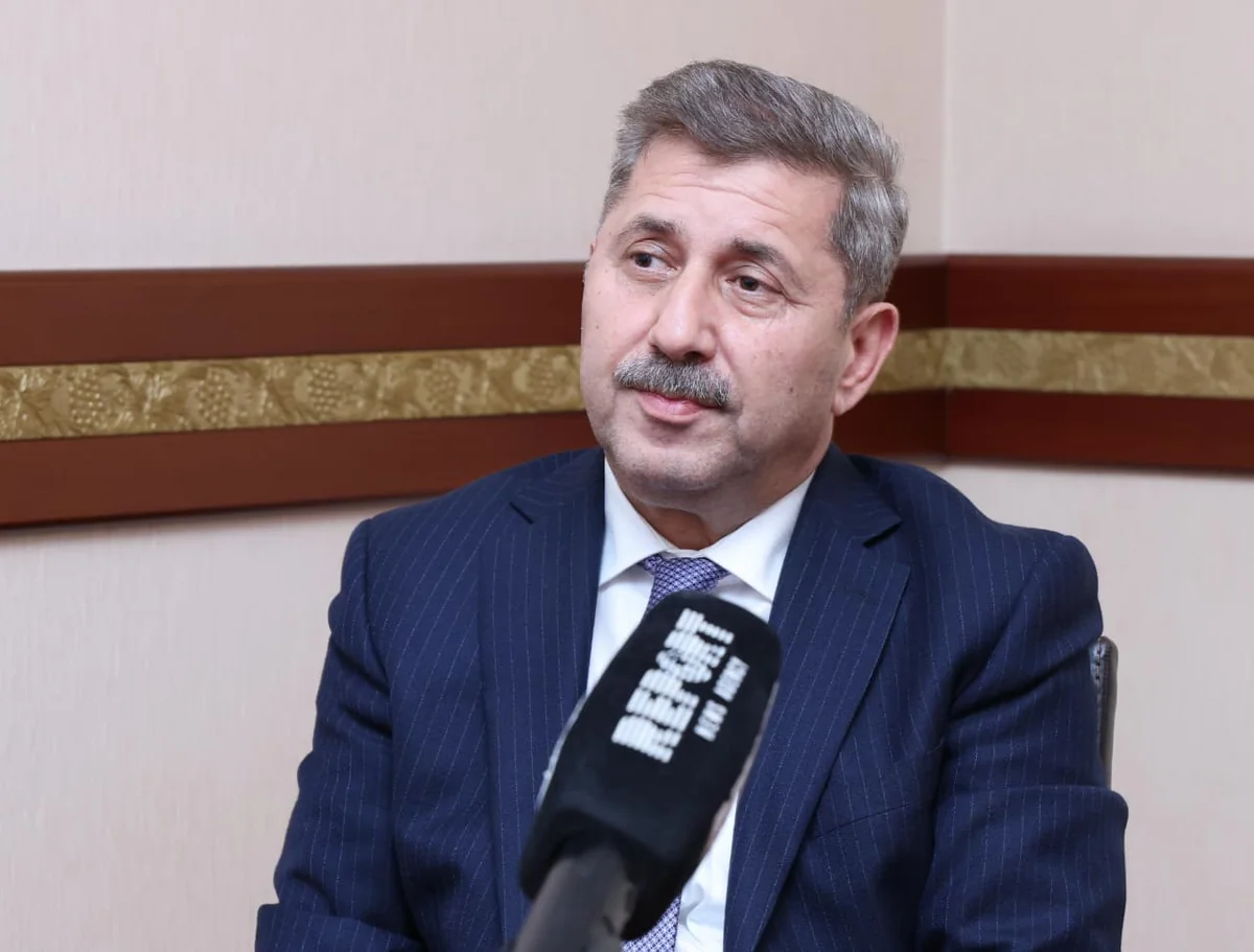 Vüqar İbrahimov: Özəl sektor büdcədən maliyyələşdirilməməlidir – MÜSAHİBƏ