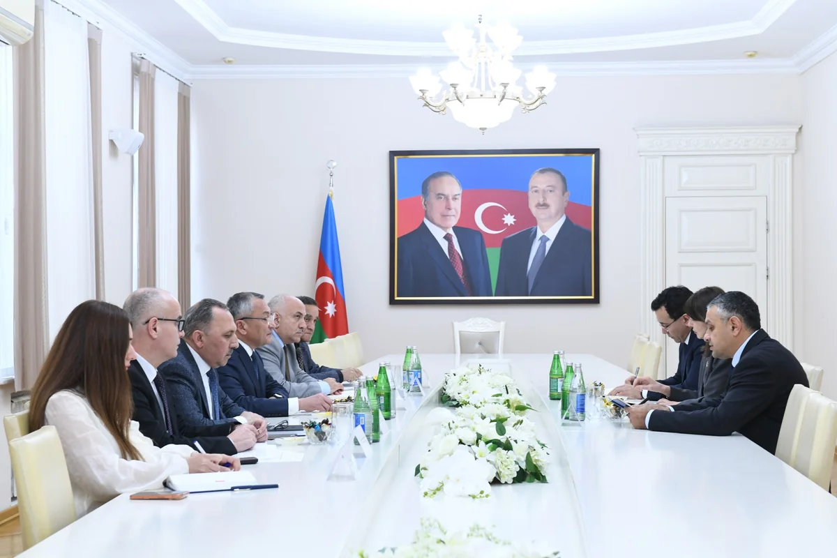 Andreeva hails Azerbaijan's significant results with UN-backed projects for refugees and IDPs