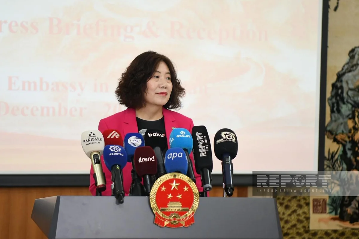 Lu Mey: Çin şirkətləri Azərbaycanda ümumi gücü 1 570 MVt olan BOEM stansiyaları tikəcək