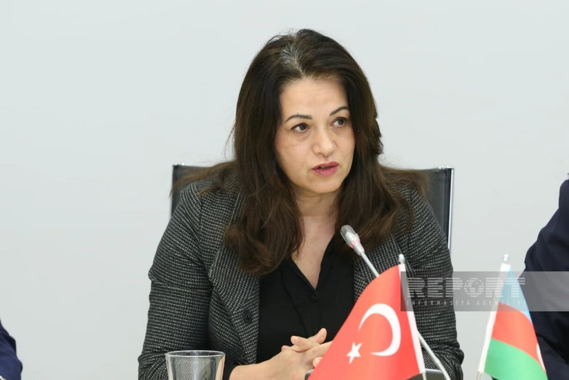 Azerbaijan's Karabakh-made goods may enter Türkiye tax-free