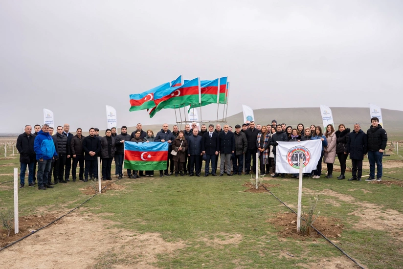 ETSN və Vəkillər Kollegiyası Müşfiqabadda ağacəkmə aksiyası keçirib