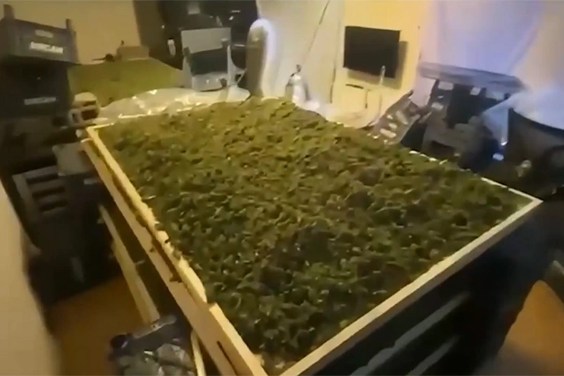 В Турции за неделю изъяли свыше 350 кг наркотиков, задержаны сотни человек