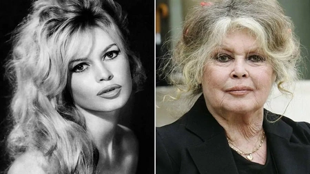 French cinema icon Brigitte Bardot dies aged 91