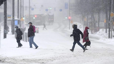 Winterstorm leaves over 160,000 households without power in Finland