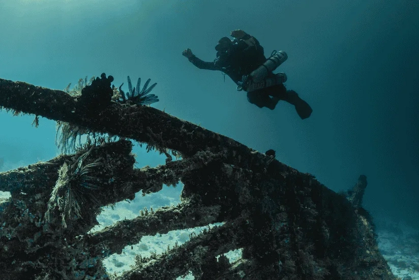 Археологи обнаружили у берегов Копенгагена самый большой торговый корабль