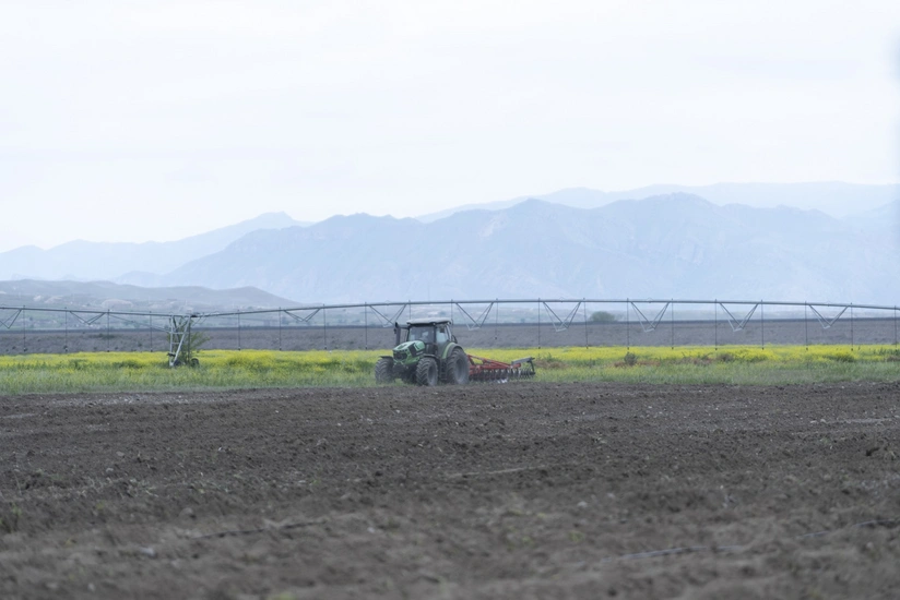 Ağdərədə torpaqların əkin məqsədli istifadəsi üçün müraciətlərin qəbuluna başlanır