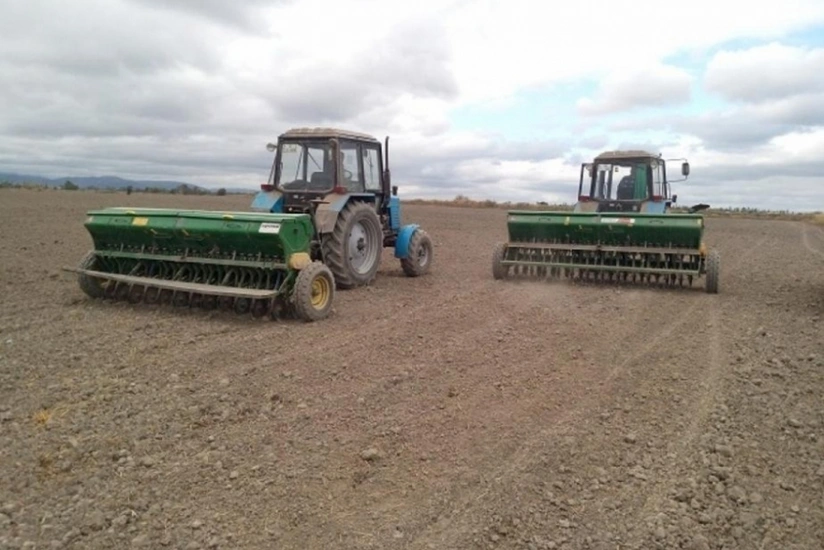 DSK: 922 min hektar sahədə dən və yaşıl yem üçün payızlıq bitkilər səpilib