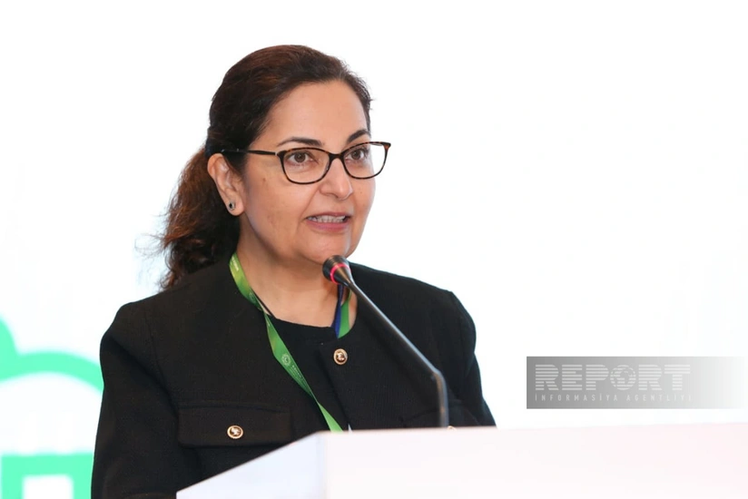 Sunniya Durrani-Jamal: ADB preparing for major investments in Azerbaijan's transport infrastructure